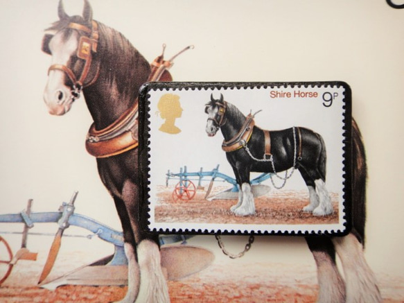 英國馬郵票胸針3407 第1張的照片