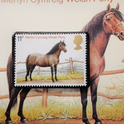 英國馬郵票胸針3409 第1張的照片