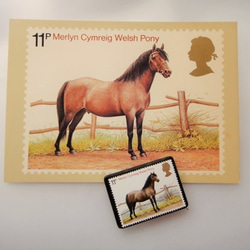 英國馬郵票胸針3409 第4張的照片
