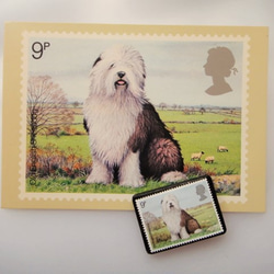 英國狗郵票胸針（帶明信片）3414 第4張的照片