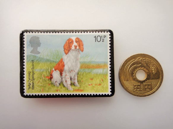 英國狗郵票胸針3416 第3張的照片