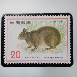 日本  アマミノクロうさぎ切手ブローチ 4003 1枚目の画像
