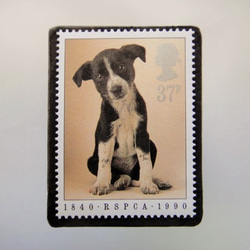 英國小狗郵票胸針4542 第1張的照片