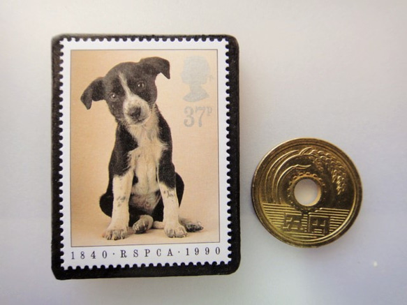 英國小狗郵票胸針4542 第3張的照片