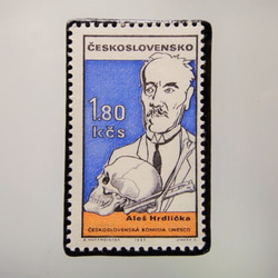 捷克斯洛伐克郵票胸針4928 第1張的照片