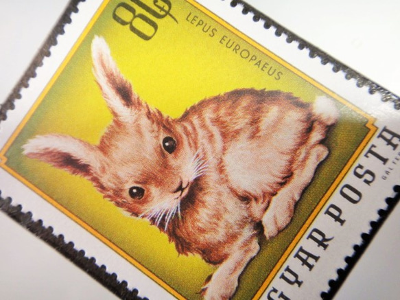 匈牙利兒童兔子郵票胸針4944 第2張的照片