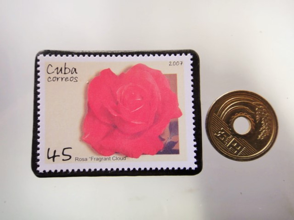 古巴薔薇加蓋胸針5188 第3張的照片
