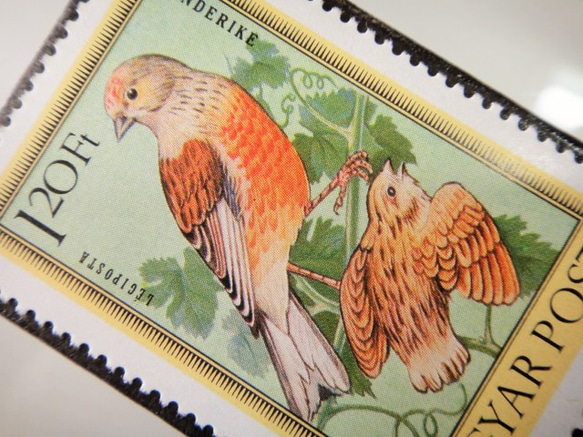 匈牙利鳥郵票胸針5279 第2張的照片