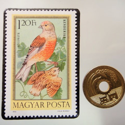 匈牙利鳥郵票胸針5279 第3張的照片