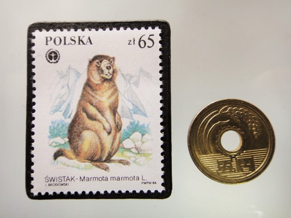 波蘭郵票胸針5291 第3張的照片