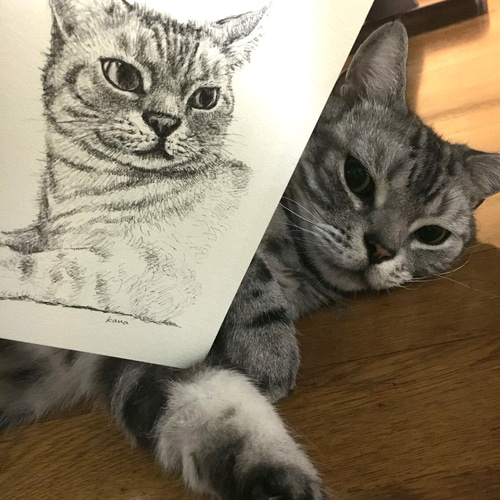猫の似顔絵オーダー ボールペン画 絵画 kana 通販 2604528