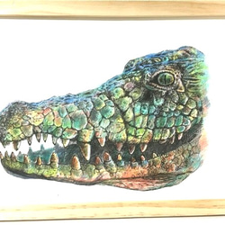恐竜 1枚目の画像