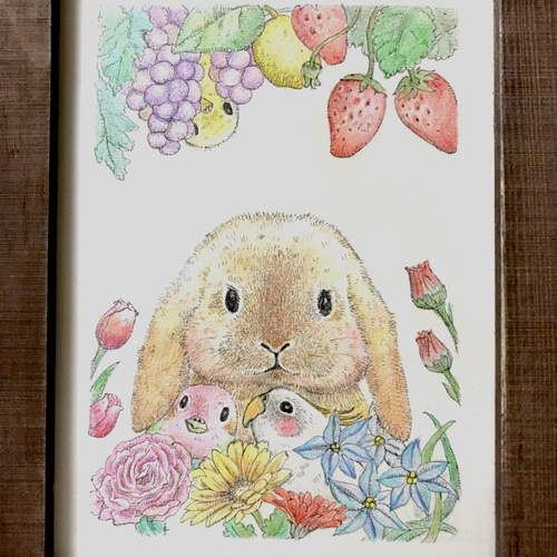 ウサギさんとインコさんたち イラスト kana 通販 5048950