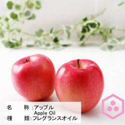 NOTO アップルオイル10ml　甘酸っぱいリンゴの香りを忠実に再現 みずみずしくナチュラルなフレグランスアロマオイル 2枚目の画像