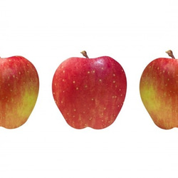 NOTO アップルオイル10ml　甘酸っぱいリンゴの香りを忠実に再現 みずみずしくナチュラルなフレグランスアロマオイル 7枚目の画像
