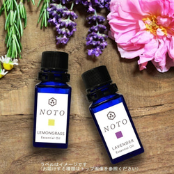 NOTO 赤ワインアロマオイル１０ml　樽で熟成した黒ブドウとベリー系の芳醇な香りを再現 9枚目の画像