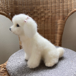 羊毛フェルト人形　おすわりトイプードル(ホワイト) 2枚目の画像