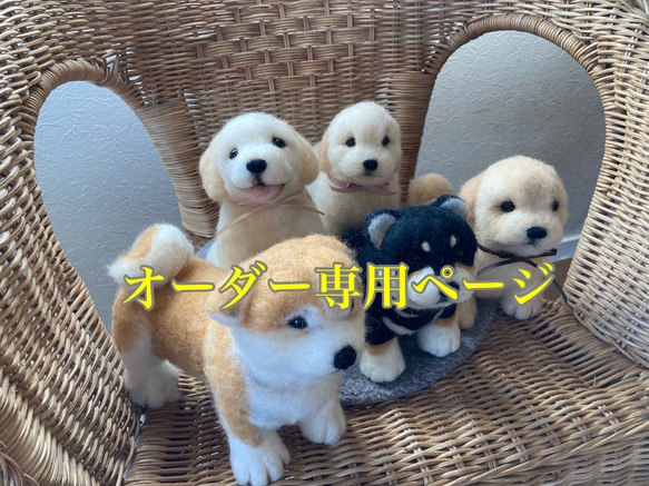 ありさ様専用ページ 1枚目の画像