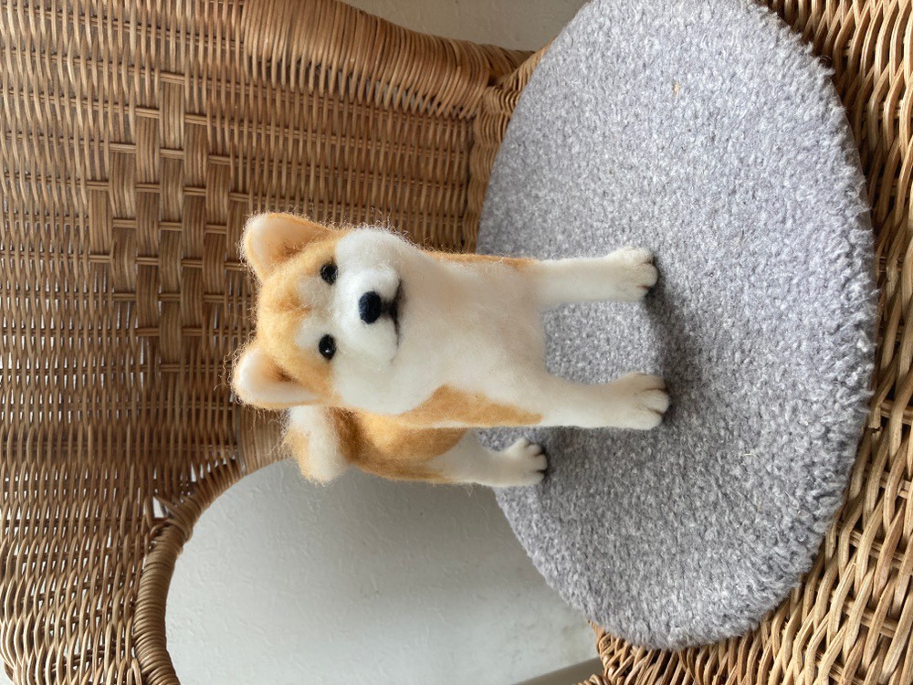 羊毛フェルト犬　ちろ ☆ぴのきち☆7.0cmのマルチーズちゃん☆羊毛フェルト マルチーズ