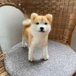 受注制作］羊毛フェルト人形 秋田犬 羊毛フェルト chikuchiku18