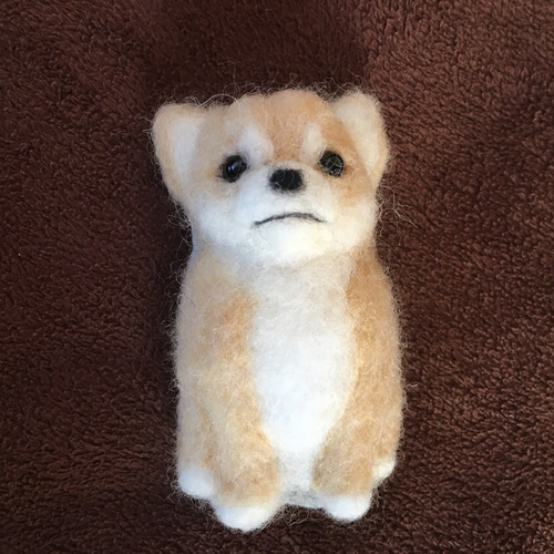 羊毛フェルトブローチ お座りワンコ チワワ(薄茶、茶色) 羊毛フェルト