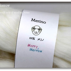 メリノトップウール　スーパーファインメリノ（白）30g　オーストラリア・メリノ羊毛フェルト ニードル 1枚目の画像