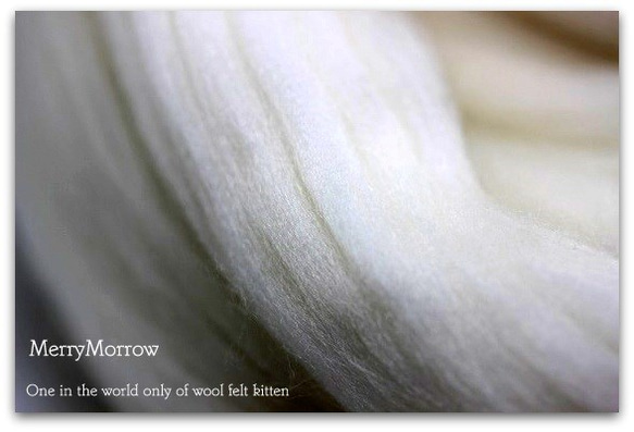 メリノトップウール　スーパーファインメリノ（白）30g　オーストラリア・メリノ羊毛フェルト ニードル 2枚目の画像