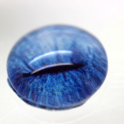 羊毛フェルト パーツ  ねこの目 リアルブルー針目（細目）オリジナル グラスアイ ドールアイ 4枚目の画像
