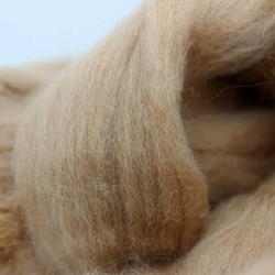 コリデール　染色スライバーウール（クッキー）25g 羊毛フェルト ニードル 3枚目の画像