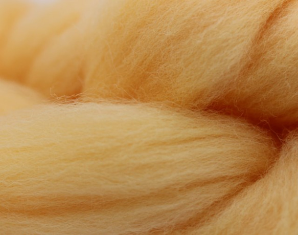 コリデール　染色スライバーウール（ハニープー）25g 羊毛フェルト ニードル 3枚目の画像