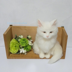 【羊毛フェルト】フレーム入り白猫ちゃん 3枚目の画像