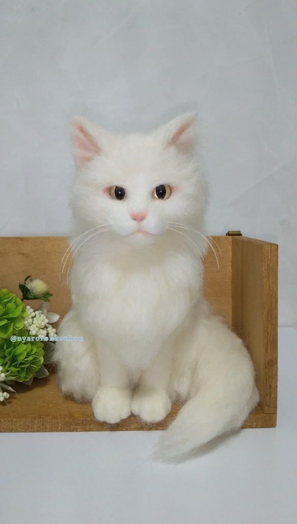 【羊毛フェルト】フレーム入り白猫ちゃん 6枚目の画像