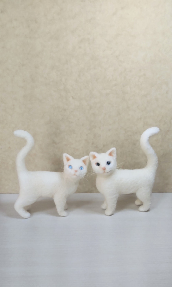 【羊毛フェルト】ミニミニ昼の白猫 9枚目の画像