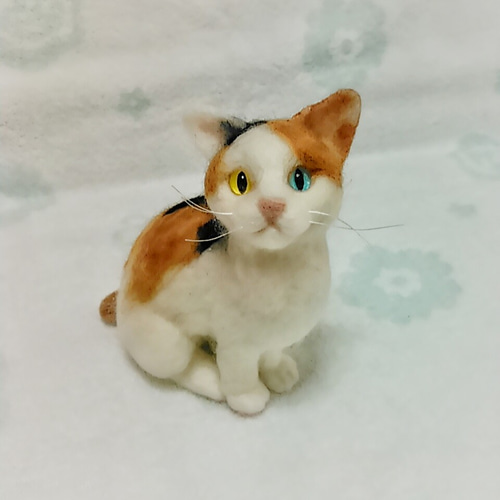 オッドアイの三毛猫!?ジャパニーズボブテイル風の羊毛猫ちゃん