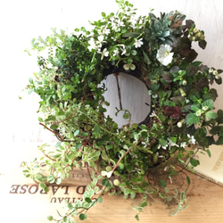 小花のドライフラワーリースᰔᩚスワッグ付き 小花のドライフラワーリースᰔᩚスワッグ付き