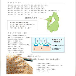 高島ちぢみシルクプロテイン加工 選べるゴムタイプ♪立体マスク 小花柄小顔効果♡大きめ レギュラー(普通) 小さめ 9枚目の画像