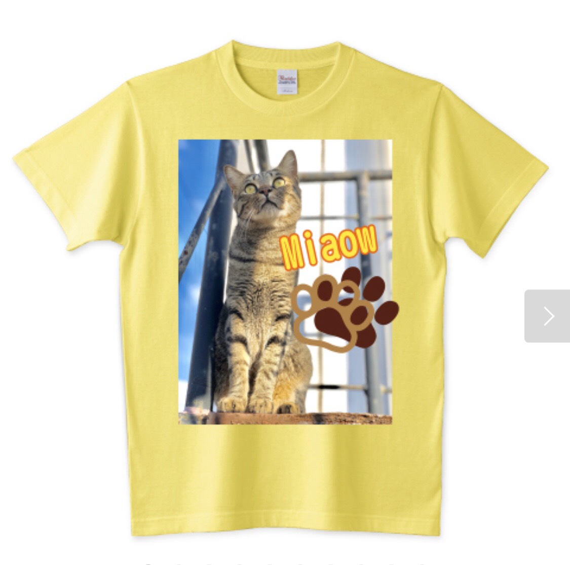 可愛いトラ猫のTシャツ