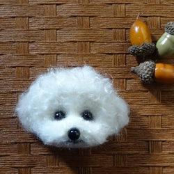 【受注制作】羊毛フェルト☆ビションフリーゼ☆犬ブローチ☆ 1枚目の画像