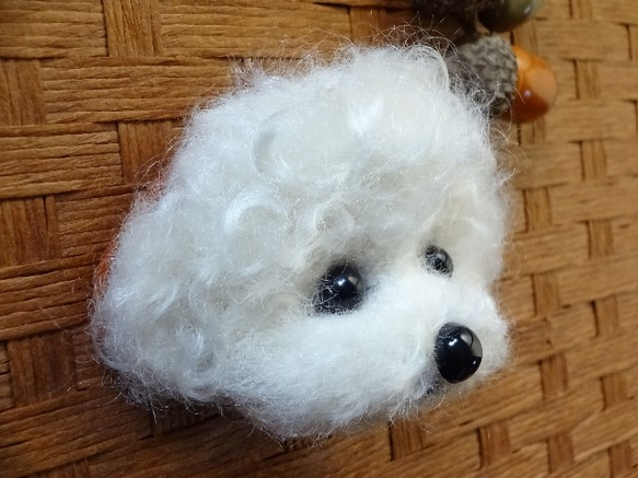 【受注制作】羊毛フェルト☆ビションフリーゼ☆犬ブローチ☆ 2枚目の画像