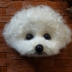 【受注制作】羊毛フェルト☆ビションフリーゼ☆犬ブローチ☆ 3枚目の画像