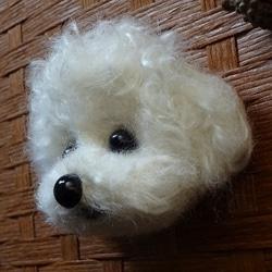 【受注制作】羊毛フェルト☆ビションフリーゼ☆犬ブローチ☆ 4枚目の画像