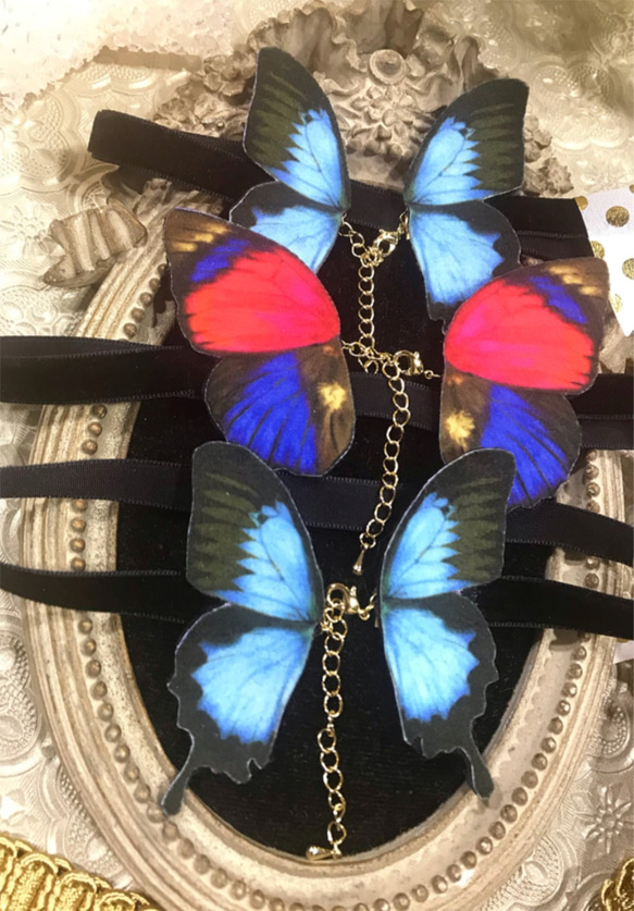 クラウディナミイロタテハ 蝶のチョーカー 3枚目の画像