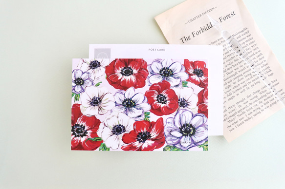 旭　ポストカード ポストカード 「アネモネ」メッセージカードにも ポストカード Asahi