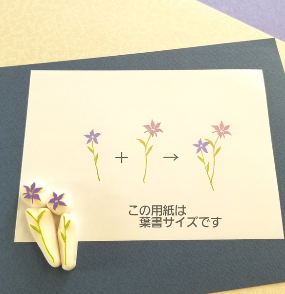 《＊小さな花はんこ⑩＊》 桔梗 4枚目の画像