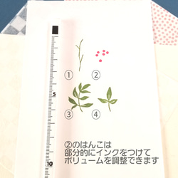 《＊季節の花＊》　南天のはんこ 6枚目の画像