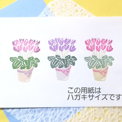 《＊季節の花＊》シクラメンのはんこ 2枚目の画像