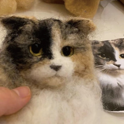 【リアル猫ちゃん オーダーメイド例】羊毛フェルトの半立体 額絵 6枚目の画像