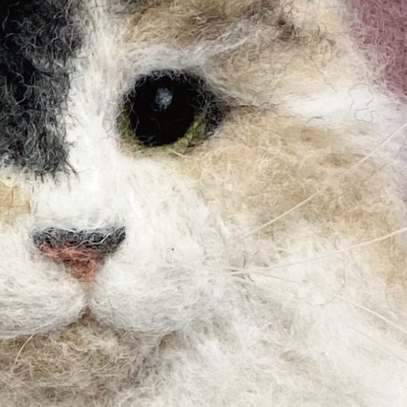 【リアル猫ちゃん オーダーメイド例】羊毛フェルトの半立体 額絵 8枚目の画像