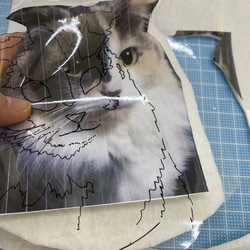 【リアル猫ちゃん オーダーメイド例】羊毛フェルトの半立体 額絵 10枚目の画像