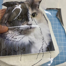 【リアル猫ちゃん オーダーメイド例】羊毛フェルトの半立体 額絵* 10枚目の画像